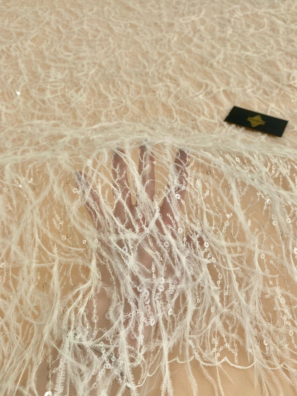 Ivory Lace with Feathers and Sequins